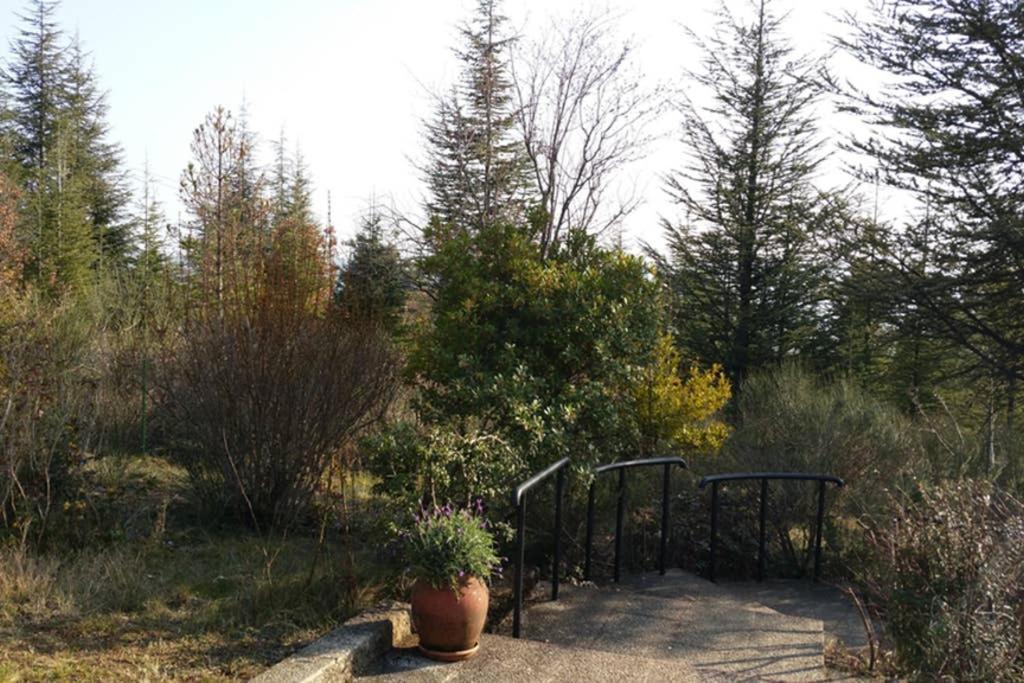 Villa La Lurette, Appartement Et Studio Saint-Étienne-les-Orgues Dış mekan fotoğraf