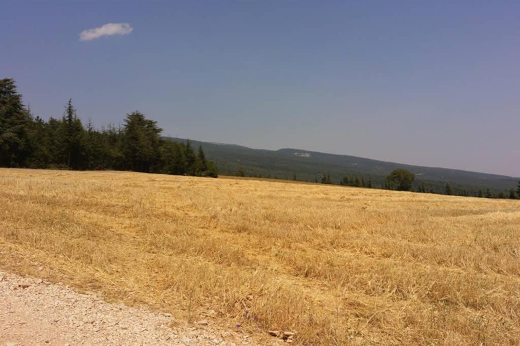 Villa La Lurette, Appartement Et Studio Saint-Étienne-les-Orgues Dış mekan fotoğraf