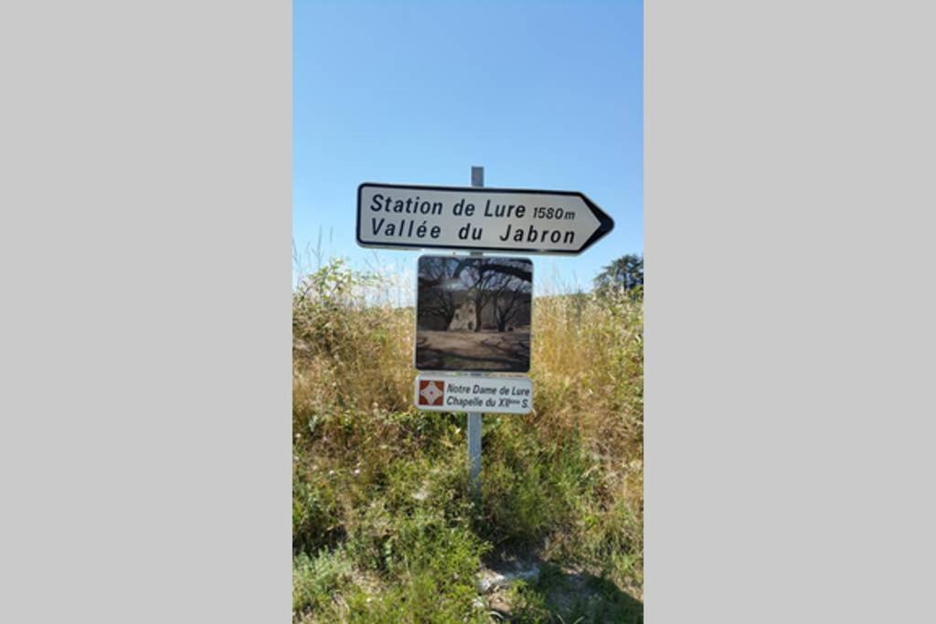 Villa La Lurette, Appartement Et Studio Saint-Étienne-les-Orgues Dış mekan fotoğraf